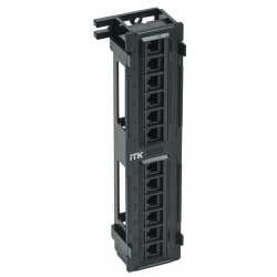 ITK настенная патч-панель кат.5E UTP 12 портов (Dual IDC)